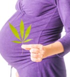 קנאביס בהריון: האם מזיק לעובר?-תמונה